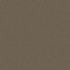 Beigegrau RAL 7006